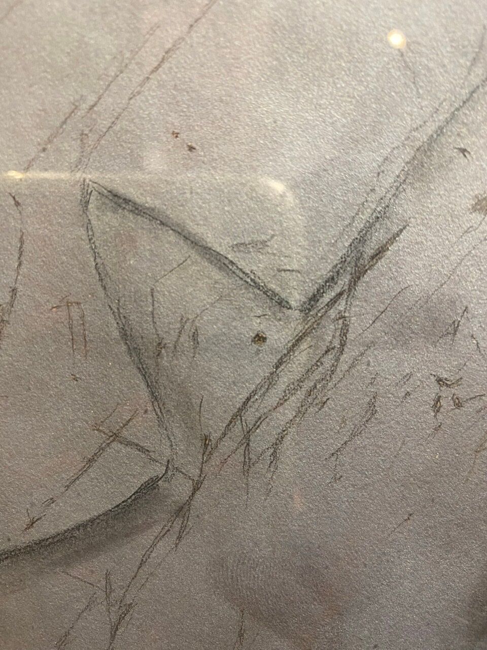 Old painting, portrait of a gentleman signed and dated 1907