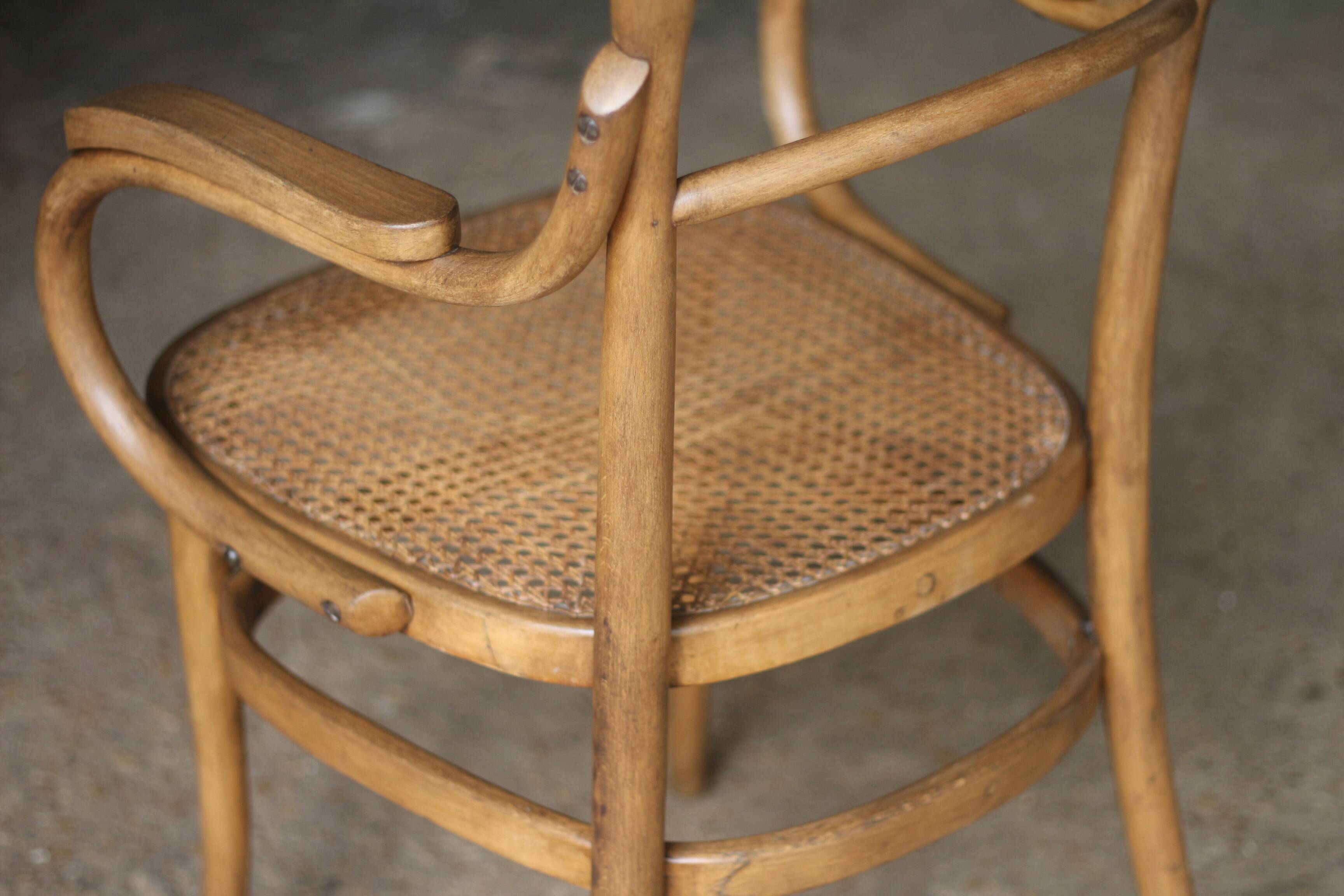 fauteuil en bois courbé  (Cambier ou Carton) vers 1900.