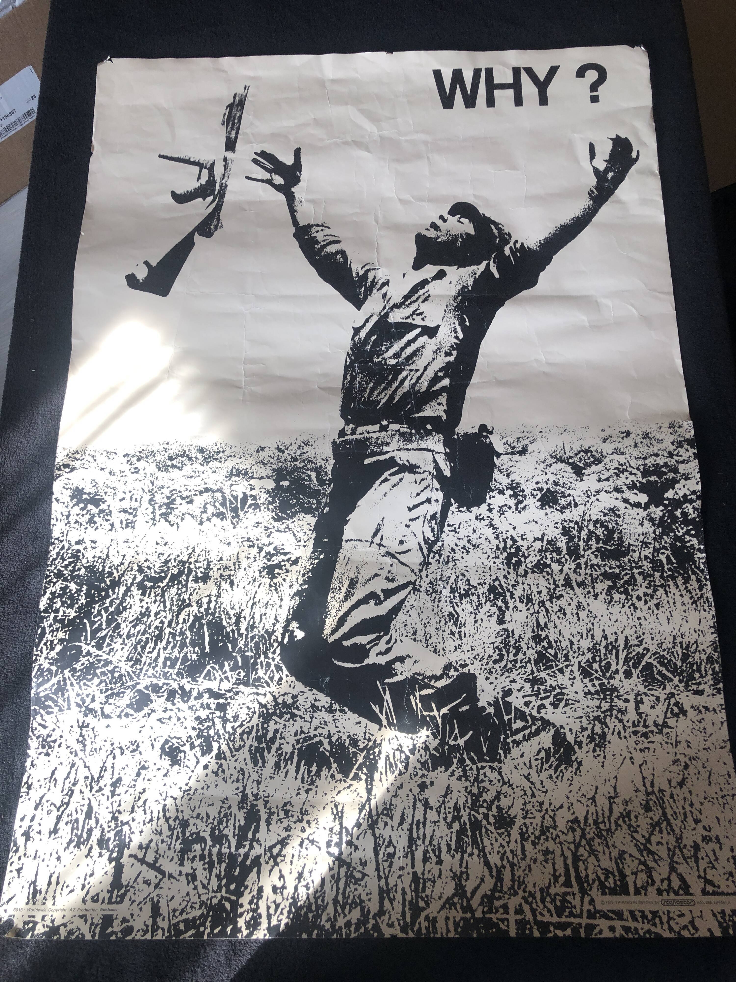 Poster WHY? Vietnam War