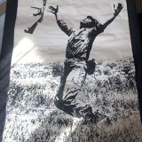 Poster WHY? Vietnam War