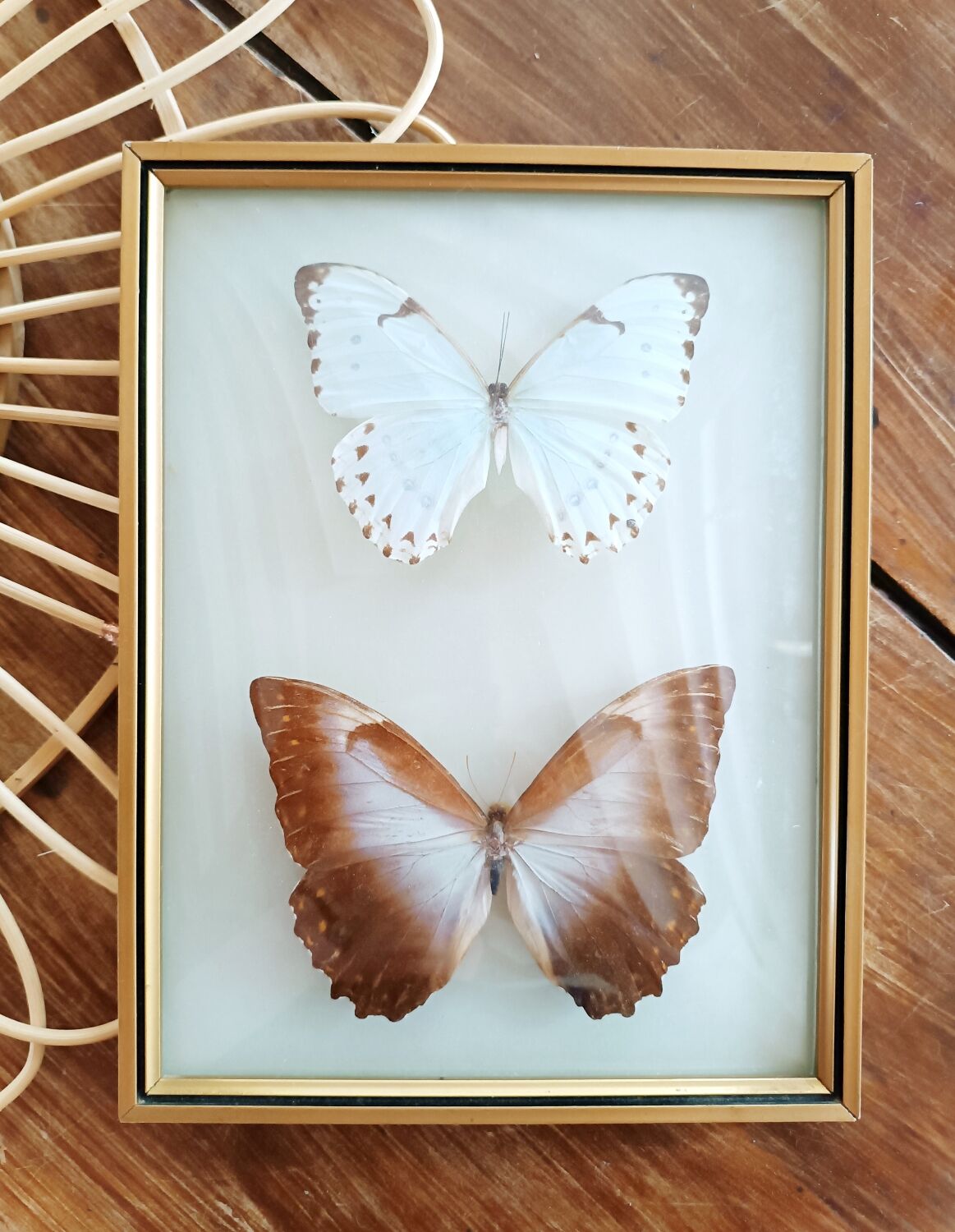 Three vintage butterfly frames