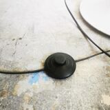 Lamppost "eye ball" foot tulip