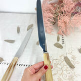 2 vintage Nogent Bakelite knives