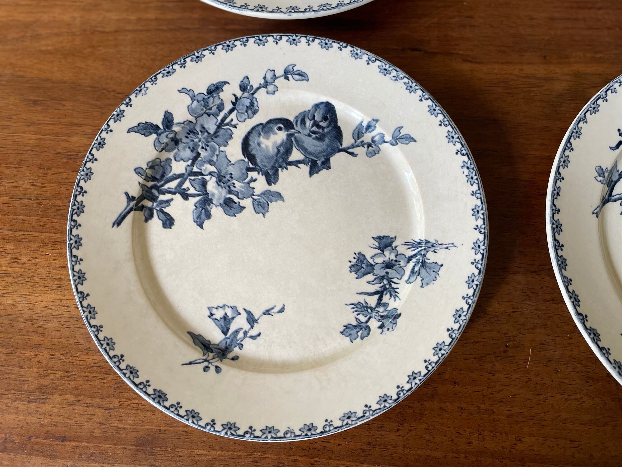 Flat plates Sarreguemines Terre de Fer model Blue Favorite