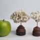 Pair of antique corals on turned wooden bases, 13 cm