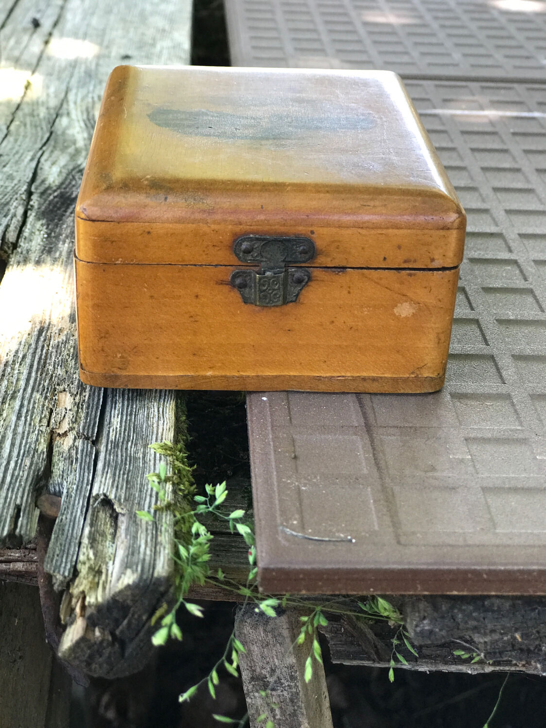 Victorian wooden box Mauchline late 19th century