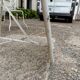 Garden furniture 4 places wrought iron old vintage xxeme