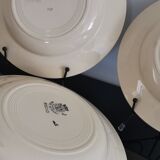 5 assiettes creuses anciennes amandinoise St Amand
