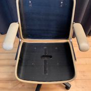 Fauteuil Martin Stoll, Giroflex de Karl Dittert, Allemagne, années 1960