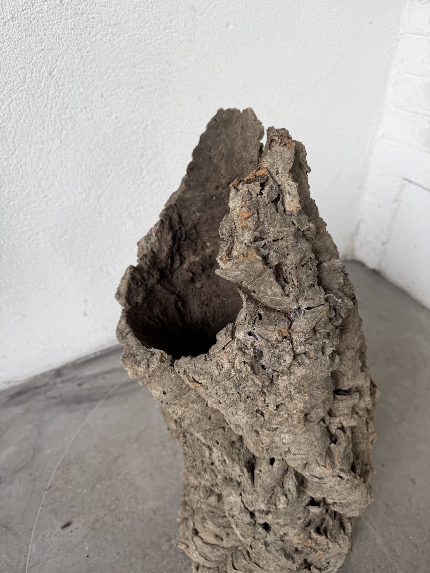 XL cork bark vase