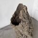 XL cork bark vase
