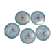 5 plates Ceranord St Amand model Eglantine