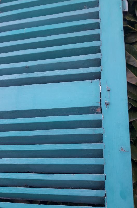Pair of louvered shutters H220xW120cm