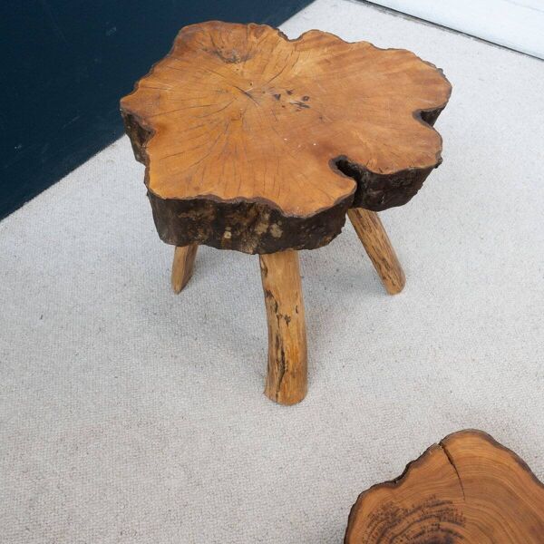 Ensemble de tables basses en bois brut d'orme, 1960, ensemble de 2
