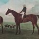 English watercolor reproduction of 20th century equestrian horse