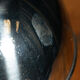 Suite de 8 cloches en inox service de table XXe