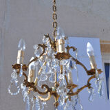 Bronze cage chandelier with grapevines