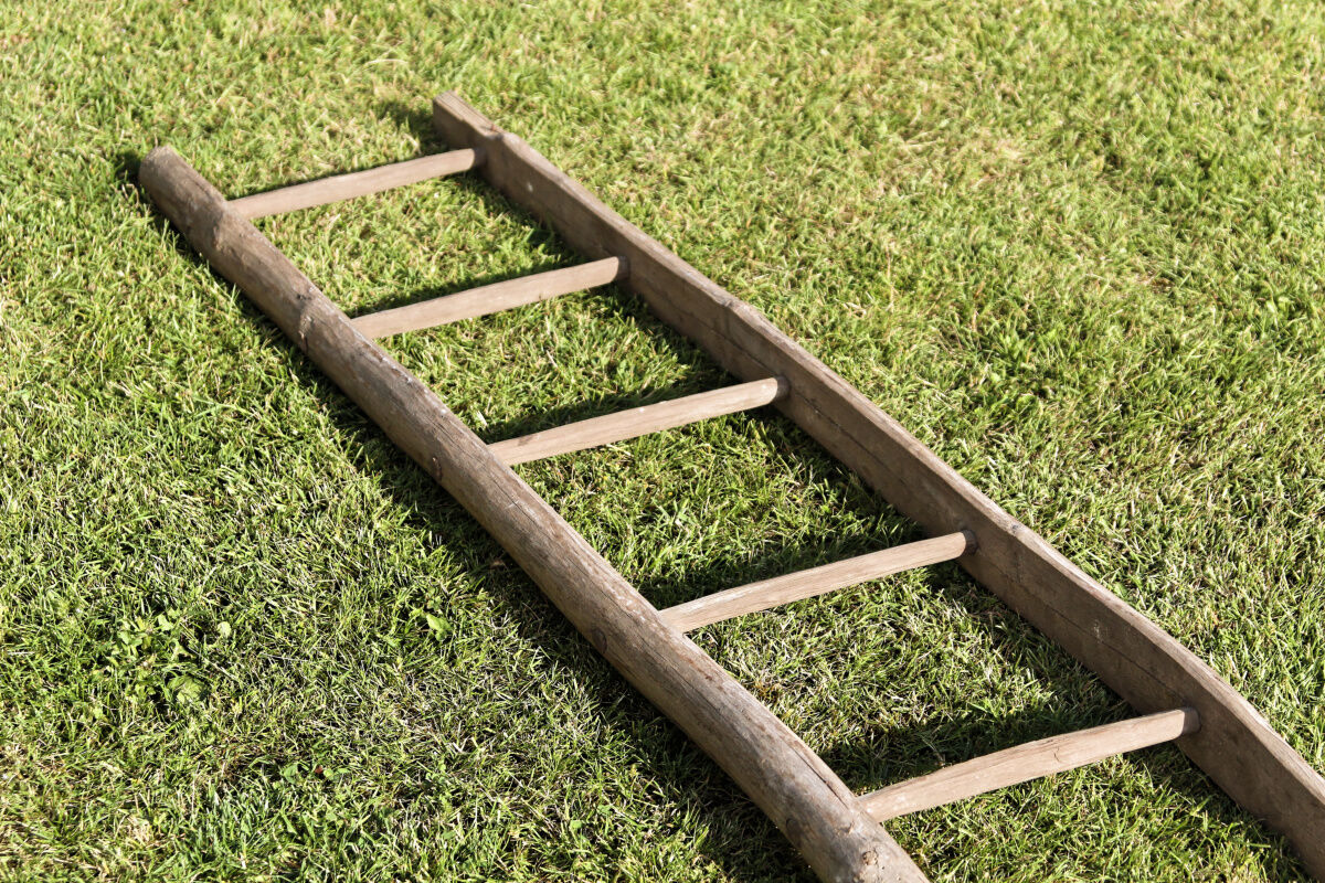 Wooden farm ladder