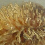 Still Life with Chrysanthemums - French School XIXth - signed - original frame