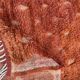 Limona/ Tapis Berbere Mrirt Orange