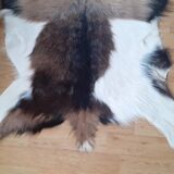New goatskin