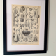 Gravure ancienne • Cheval • Affiche originale de 1922