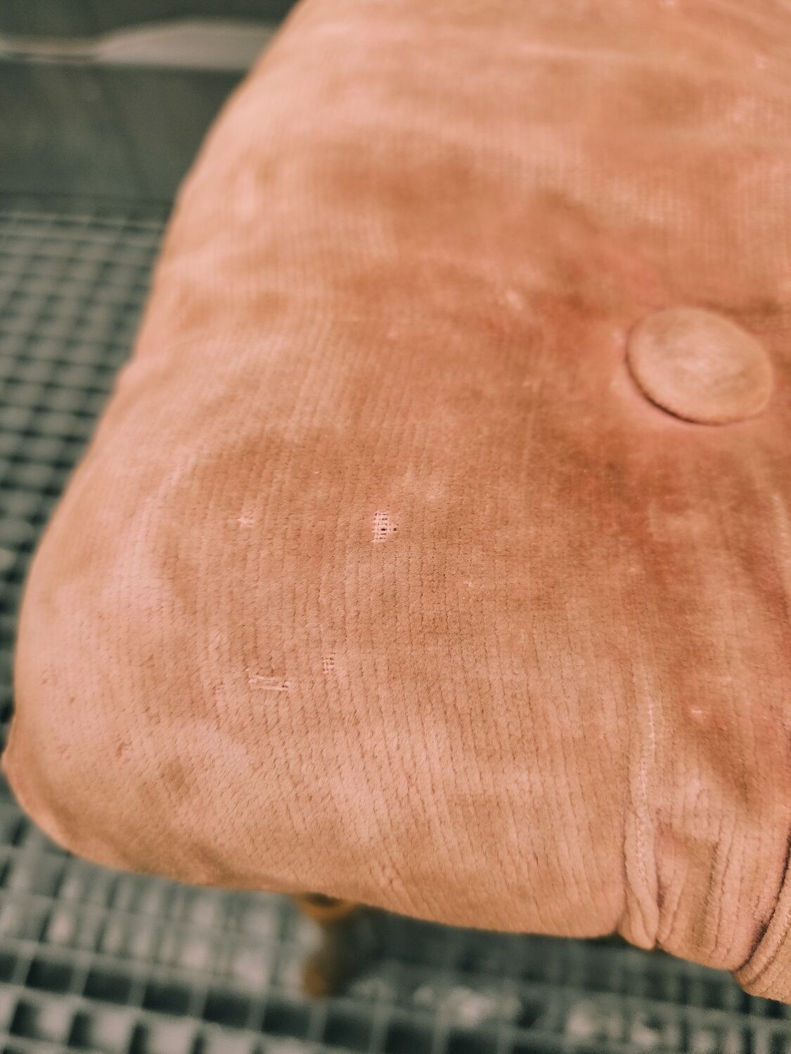 Chiavari chair in gilded wood