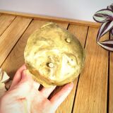 Empty pocket Brass Bulldog