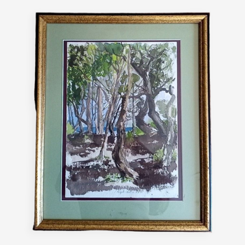 Pascale Rigat-Esselin (née 1952) - Aquarelle - 35,5 x 26 cm - sous-bois, signée