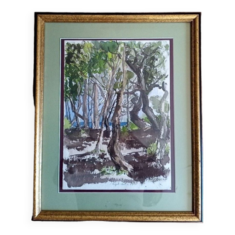 Pascale Rigat-Esselin (née 1952) - Aquarelle - 35,5 x 26 cm - sous-bois, signée