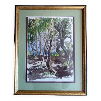 Pascale Rigat-Esselin (born 1952) - Watercolor - 35,5 x 26 cm - undergrowth, signed