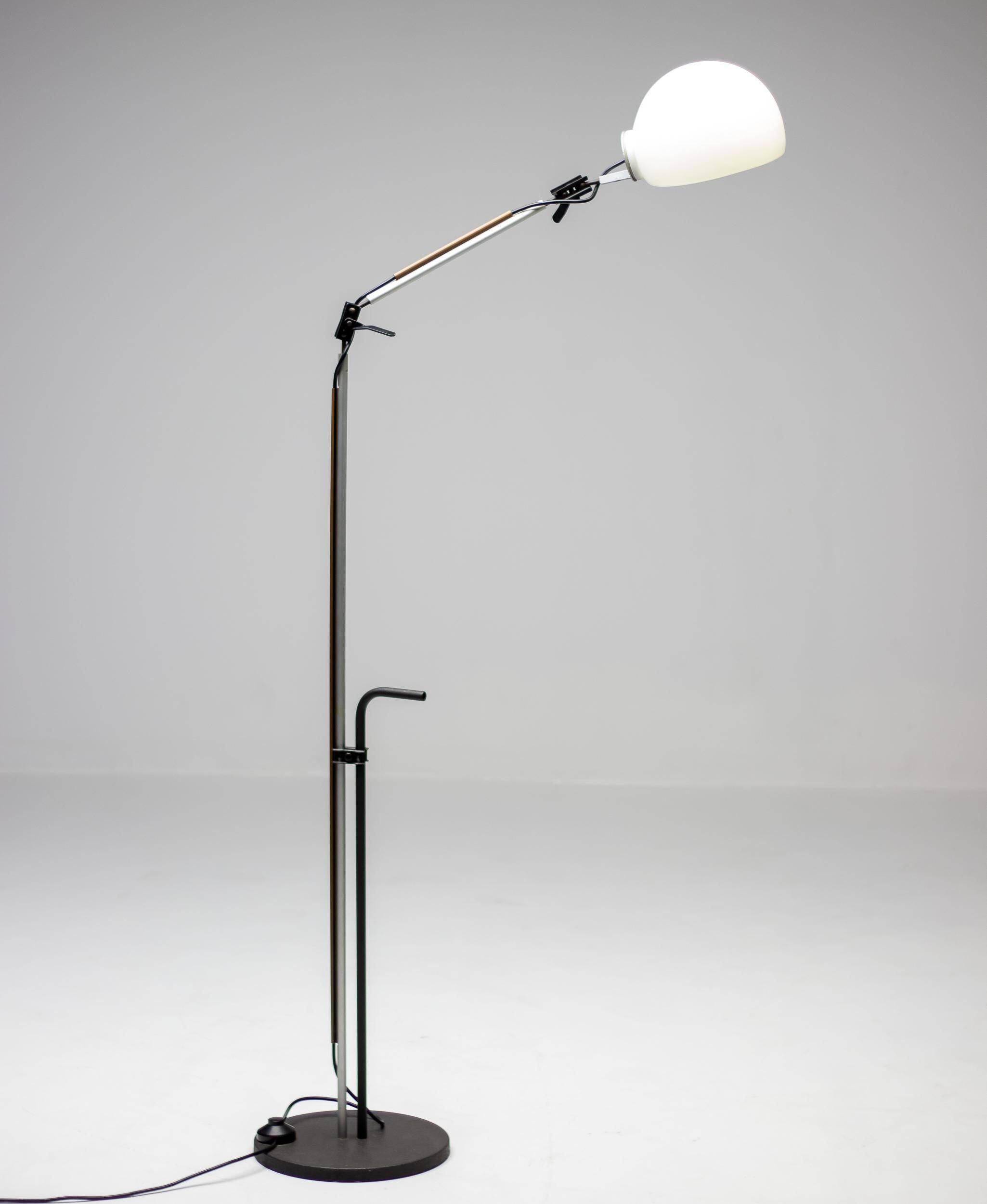 Enzo Mari G. Fassina Aggregato Floor Lamp Artemide Italian Design