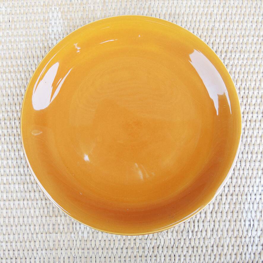 Antique earthenware dinner service from Salins (36 pcs)