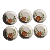 6 dessert plates