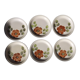 6 dessert plates