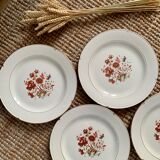 Set of 4 plates faience of Salins, Malmaison model