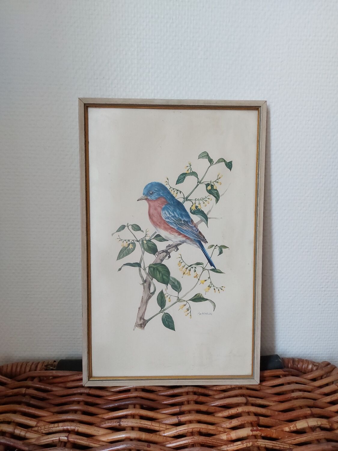 Vintage bird frame