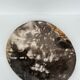 Dish in petrified wood