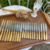 Set of 10 knives and 12 vintage horn knives