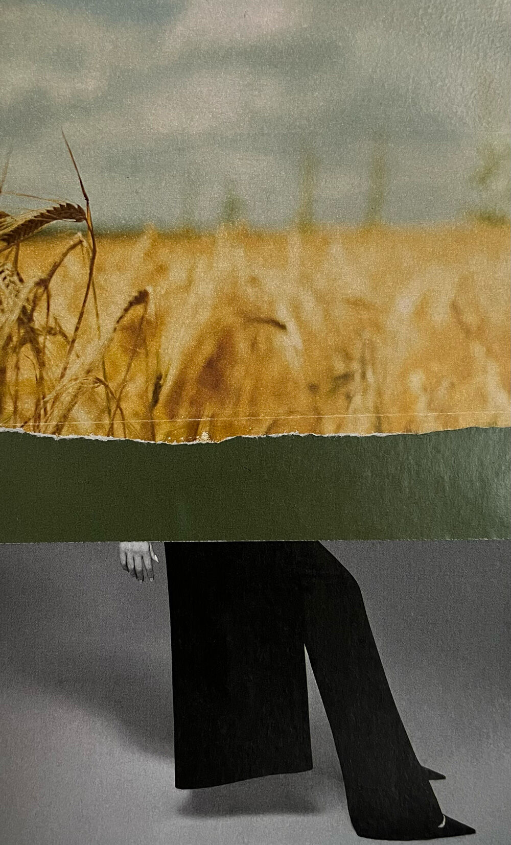 Collage, Head of wheat