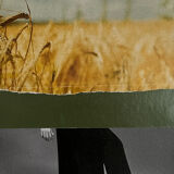 Collage, Head of wheat
