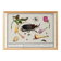 Small poster on insects and nature, based on an old engraving