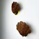 Pair of scalloped rattan wall sconces, 1980s, sourced in Spain