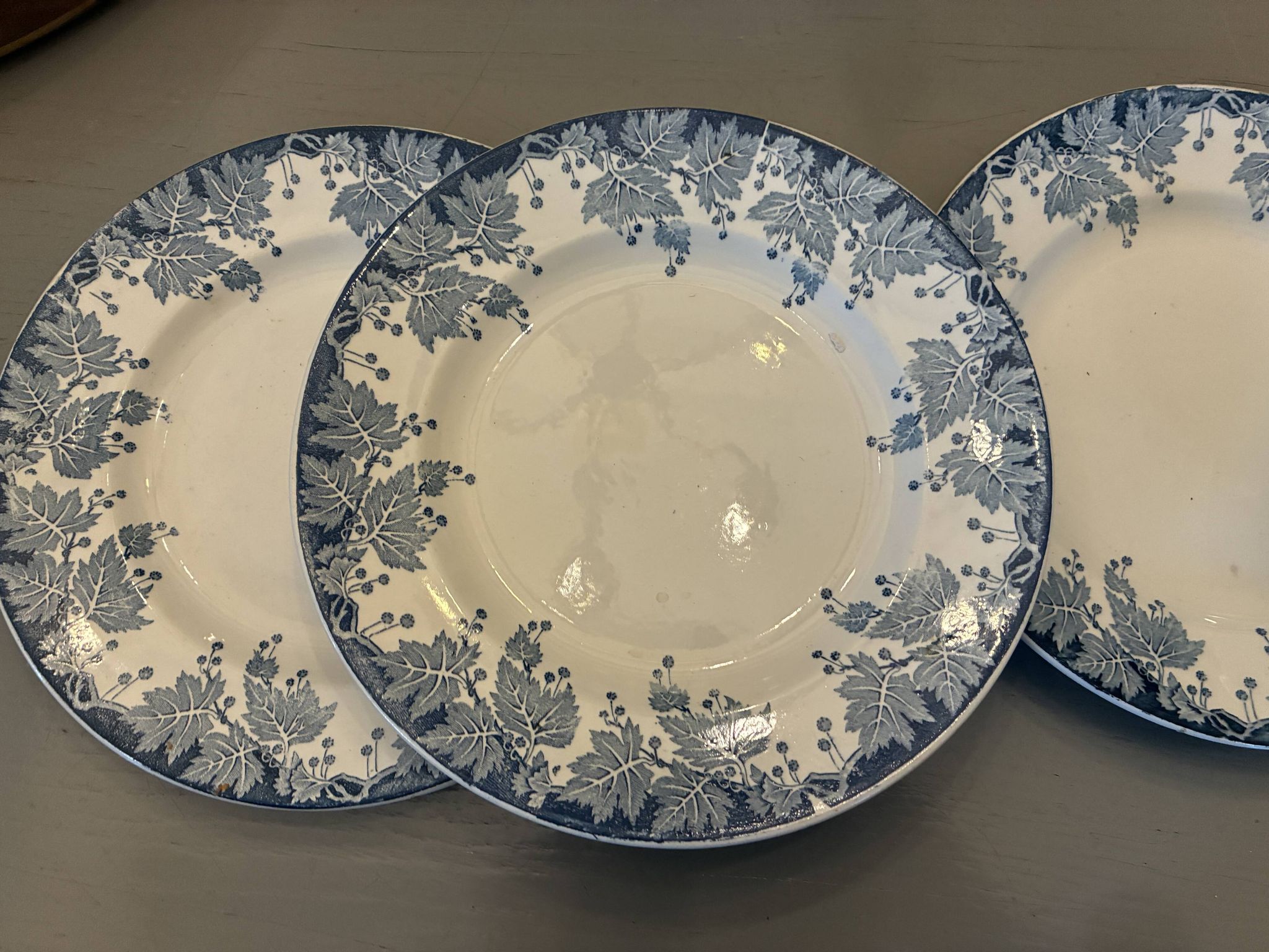 Lot de 5 assiettes plates Saint Amand Terre de Fer