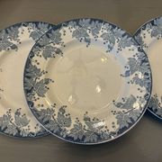 Lot de 5 assiettes plates Saint Amand Terre de Fer