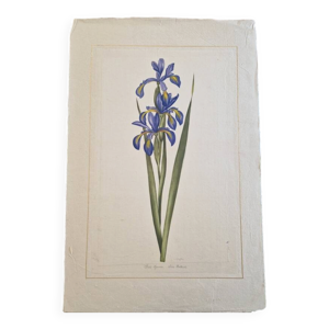 Dessin à l'aquarelle - soie