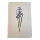 La Roche Laffitte (Born in 1943) - Watercolour drawing on silk - Iris