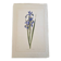 La Roche Laffitte (Born in 1943) - Watercolour drawing on silk - Iris