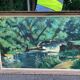 Clody.F 1974 oil painting on canvas forest landscape 110x75
