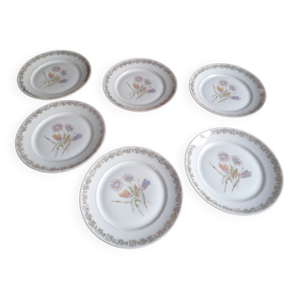 6 70s porcelain dessert plates